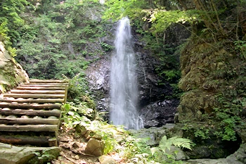 払沢の滝の画像