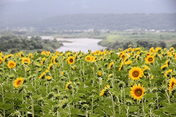 飯山市の風景
