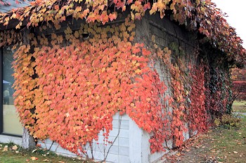 御代田町の風景