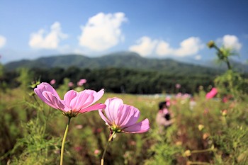 飯島町の風景