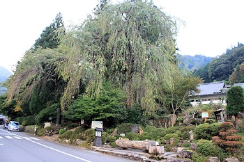 大桑村の風景