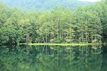 御射鹿池の風景