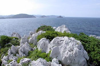 白崎海洋公園の画像