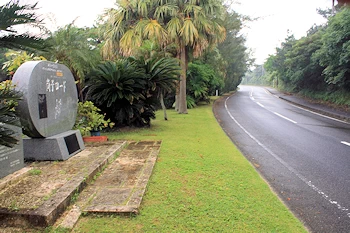 尚子ロードの風景