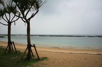 ヨナマビーチの風景