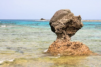 土盛海岸の風景