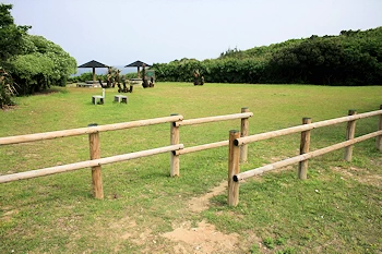 夕日の散歩道の風景