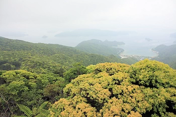 高知山展望台の風景