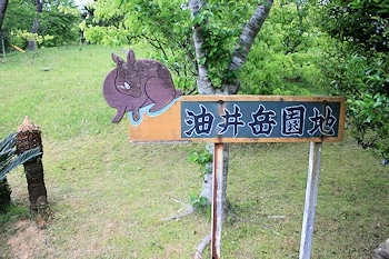 油井岳園地の風景