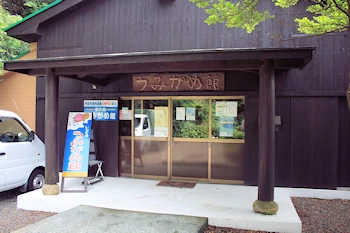 屋久島うみがめ館の風景