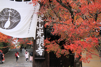光明寺の紅葉風景