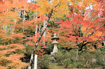 光明寺の紅葉風景
