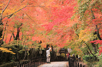 光明寺の紅葉風景