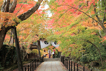 光明寺の紅葉風景