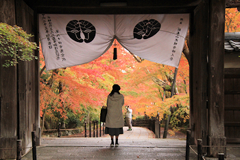光明寺の紅葉風景