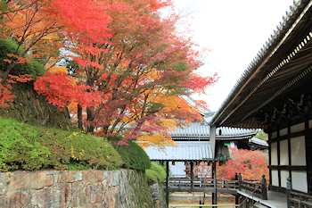 光明寺の紅葉風景