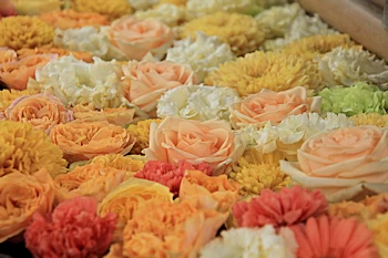 光明寺の紅葉風景