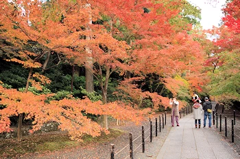 光明寺の紅葉風景