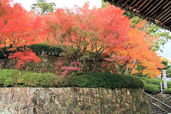 光明寺の紅葉風景