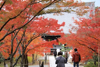 光明寺の紅葉風景