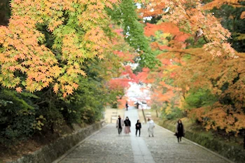 光明寺の紅葉風景