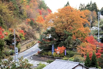 楊谷寺の紅葉風景