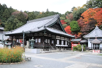 楊谷寺の紅葉風景