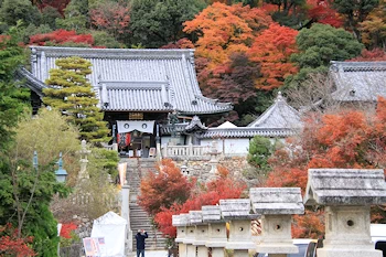 楊谷寺の紅葉風景