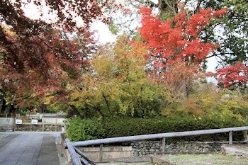 乙訓寺の紅葉風景