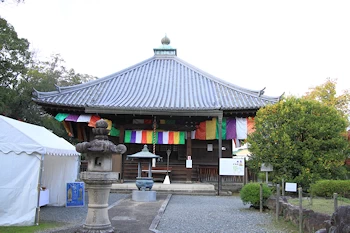 乙訓寺の紅葉風景
