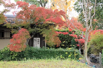 乙訓寺の紅葉風景