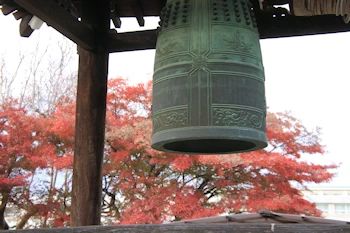 乙訓寺の紅葉風景