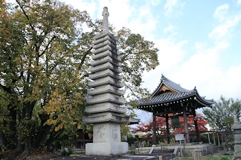 乙訓寺の紅葉風景