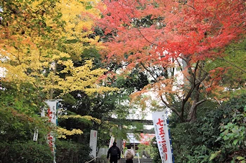 長岡天満宮の紅葉風景