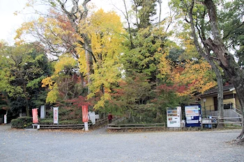 長岡天満宮の紅葉風景