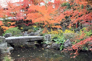 長岡天満宮の紅葉風景