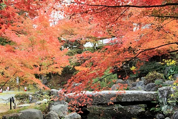 長岡天満宮の紅葉風景