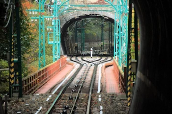 石清水八幡宮の紅葉風景