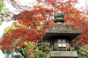 石清水八幡宮の紅葉風景