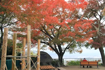 石清水八幡宮の紅葉風景