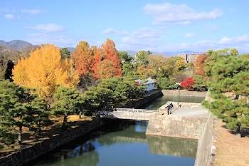 二条城の紅葉風景