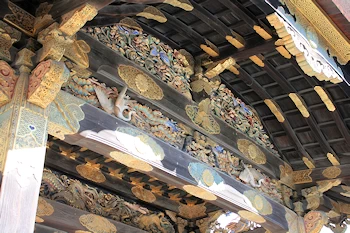 二条城の紅葉風景