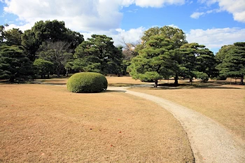 二条城の紅葉風景