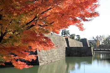 二条城の紅葉風景