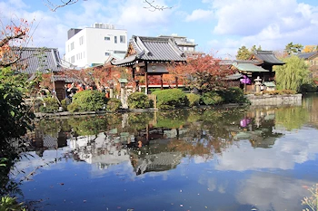 神泉苑の紅葉風景