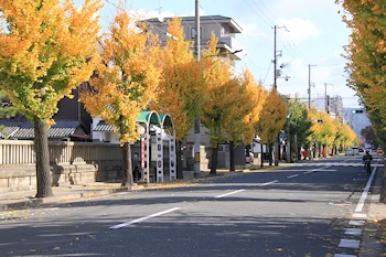 神泉苑の紅葉風景