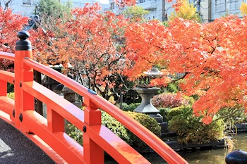神泉苑の紅葉風景
