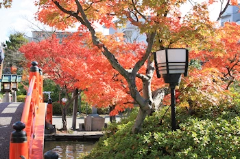 神泉苑の紅葉風景