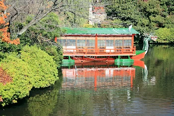 神泉苑の紅葉風景