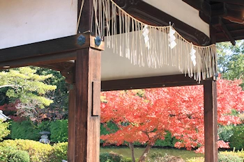 神泉苑の紅葉風景